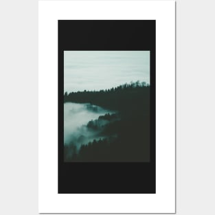 Wonderful Fog and Forest View Posters and Art